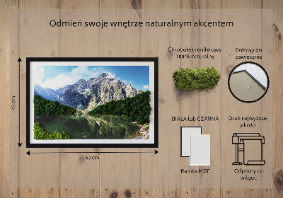 Living moss wall art Tatra Mountains - Morskie Oko