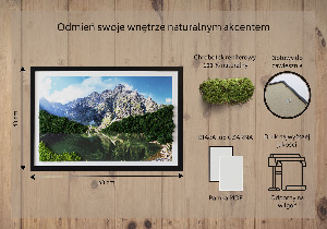 Living moss wall art Tatra Mountains - Morskie Oko