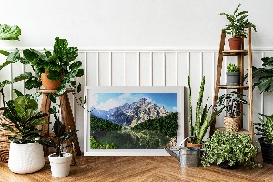 Living moss wall art Tatra Mountains - Morskie Oko