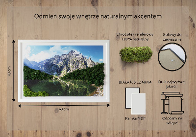 Living moss wall art Tatra Mountains - Morskie Oko