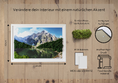 Living moss wall art Tatra Mountains - Morskie Oko
