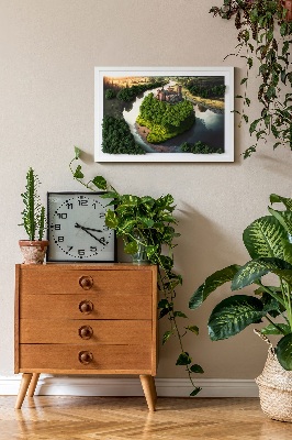 Moss picture Zipper