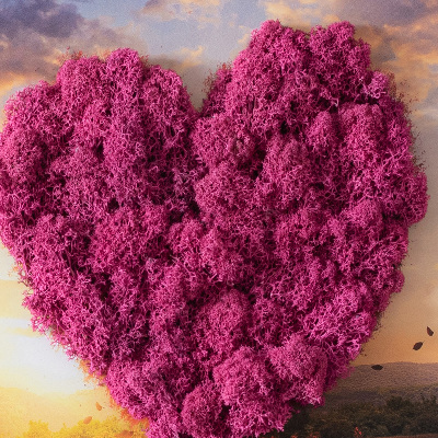 Living moss wall art Heart -shaped tree