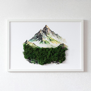 Living moss wall art The top of the mountain over the forest