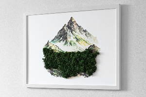 Living moss wall art The top of the mountain over the forest