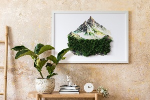 Living moss wall art The top of the mountain over the forest