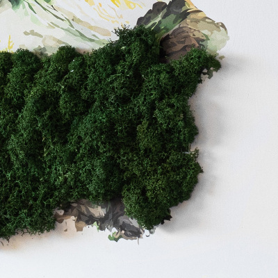 Living moss wall art The top of the mountain over the forest