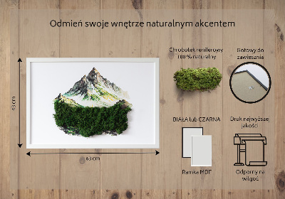 Living moss wall art The top of the mountain over the forest