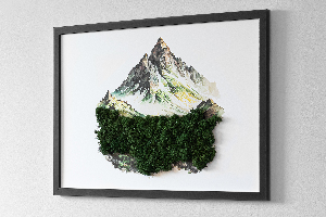 Living moss wall art The top of the mountain over the forest