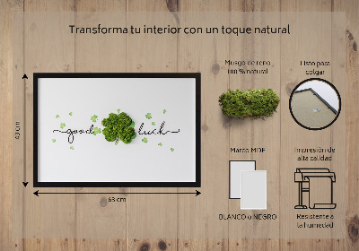 Living moss wall art The inscription Good Luck clover