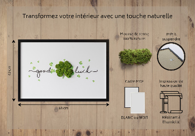 Living moss wall art The inscription Good Luck clover