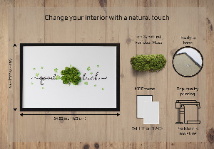 Living moss wall art The inscription Good Luck clover