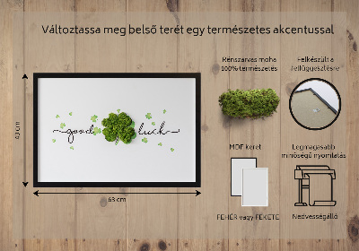 Living moss wall art The inscription Good Luck clover