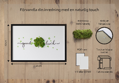 Living moss wall art The inscription Good Luck clover