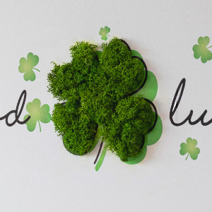 Living moss wall art The inscription Good Luck clover