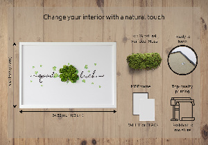 Living moss wall art The inscription Good Luck clover