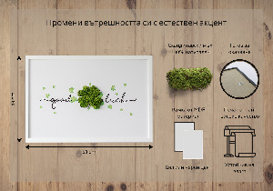 Living moss wall art The inscription Good Luck clover