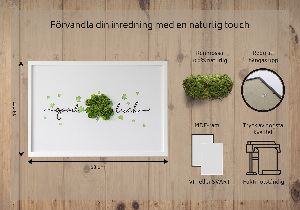 Living moss wall art The inscription Good Luck clover