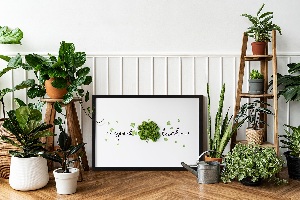 Living moss wall art The inscription Good Luck clover