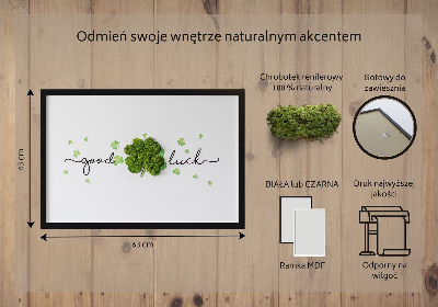 Living moss wall art The inscription Good Luck clover