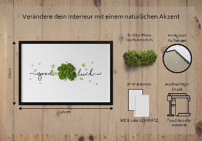 Living moss wall art The inscription Good Luck clover