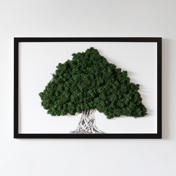 Framed moss wall art A tree with roots on a white background