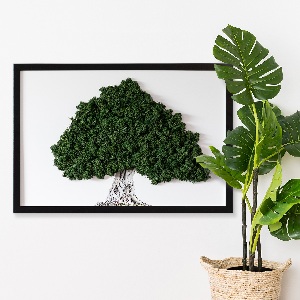 Framed moss wall art A tree with roots on a white background