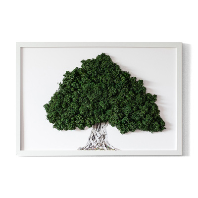 Framed moss wall art A tree with roots on a white background