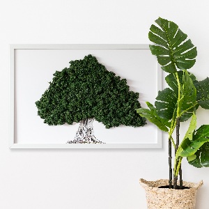 Framed moss wall art A tree with roots on a white background