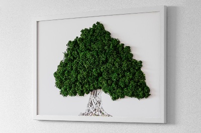 Framed moss wall art A tree with roots on a white background