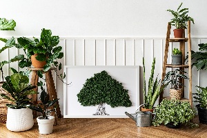 Framed moss wall art A tree with roots on a white background