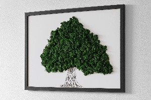 Framed moss wall art A tree with roots on a white background