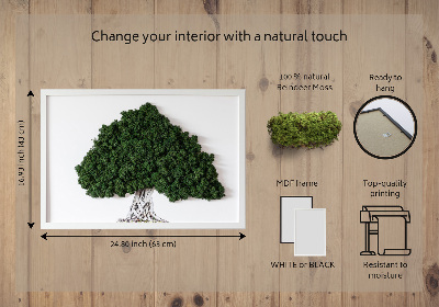 Framed moss wall art A tree with roots on a white background