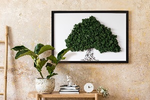 Framed moss wall art A tree with roots on a white background