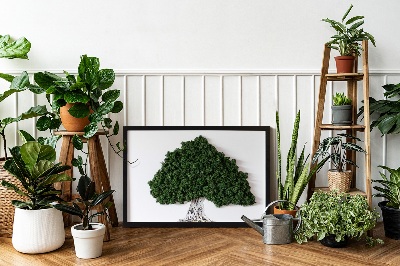 Framed moss wall art A tree with roots on a white background