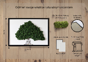 Framed moss wall art A tree with roots on a white background