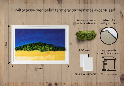 Moss picture Blue yellow landscape
