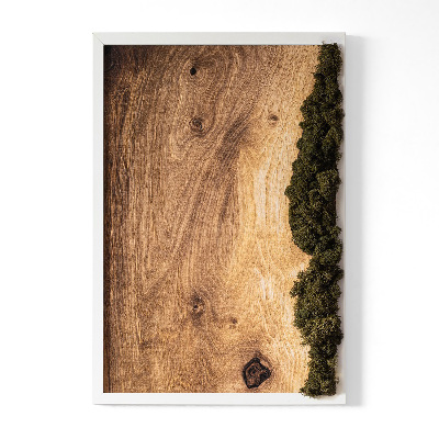 Moss wall art Natural oak