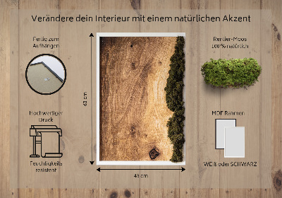 Moss wall art Natural oak