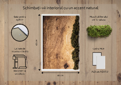 Moss wall art Natural oak
