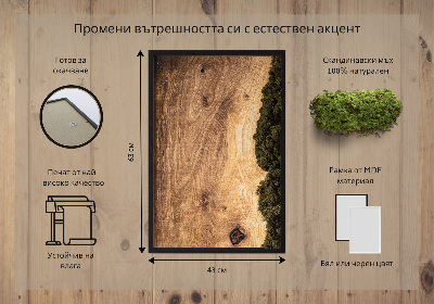 Moss wall art Natural oak