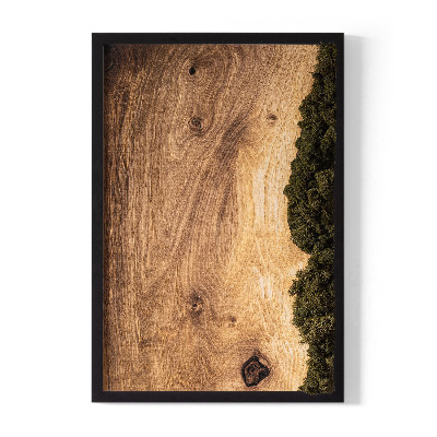 Moss wall art Natural oak