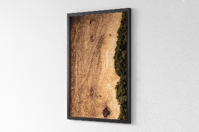 Moss wall art Natural oak