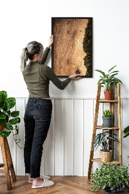 Moss wall art Natural oak