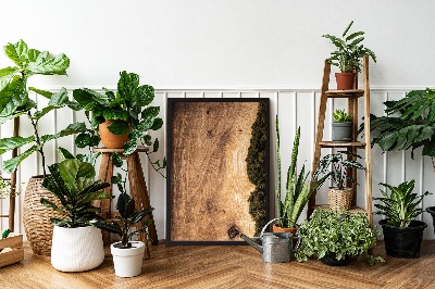 Moss wall art Natural oak