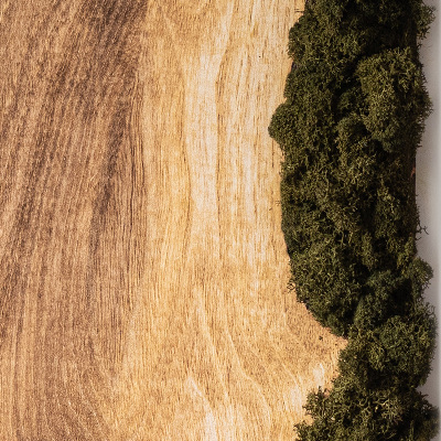 Moss wall art Natural oak