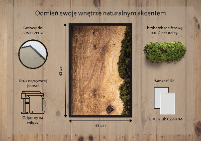 Moss wall art Natural oak