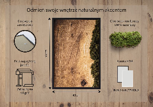 Moss wall art Natural oak