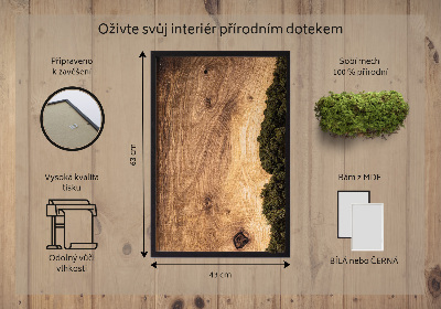Moss wall art Natural oak
