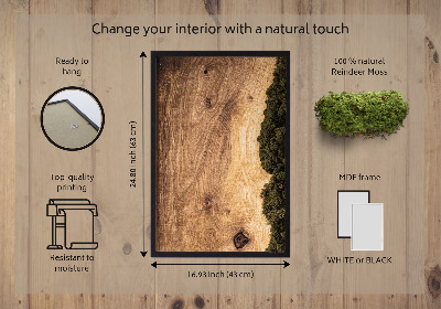 Moss wall art Natural oak